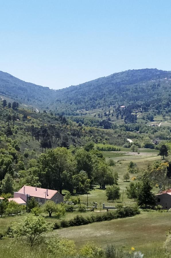 Turismo Rural Macieira Brava Γκουάρντα Εξωτερικό φωτογραφία