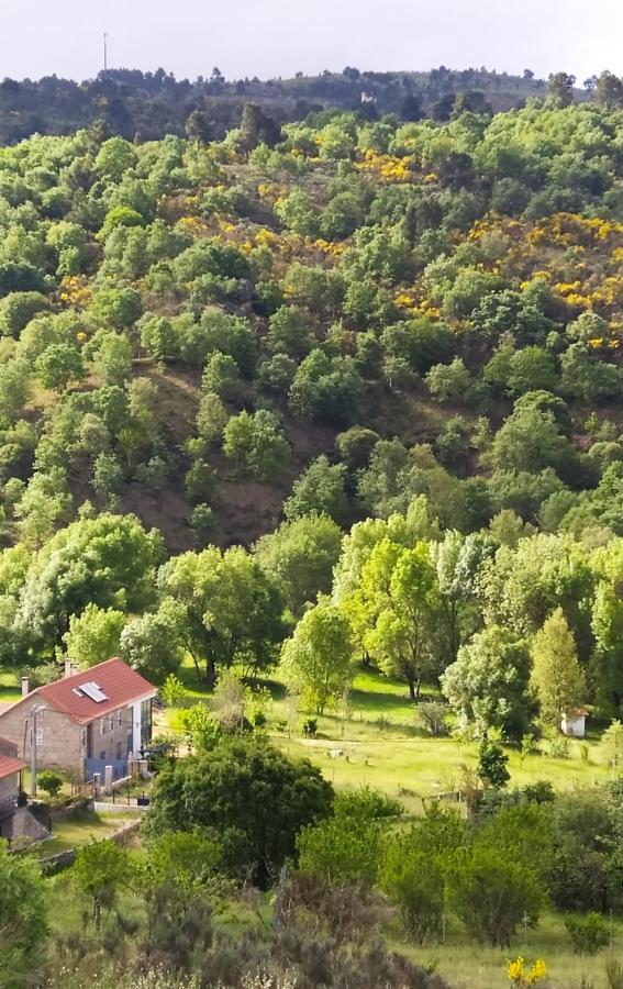 Turismo Rural Macieira Brava Γκουάρντα Εξωτερικό φωτογραφία