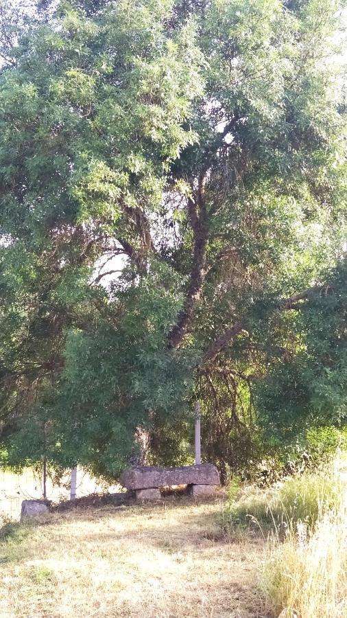 Turismo Rural Macieira Brava Γκουάρντα Εξωτερικό φωτογραφία