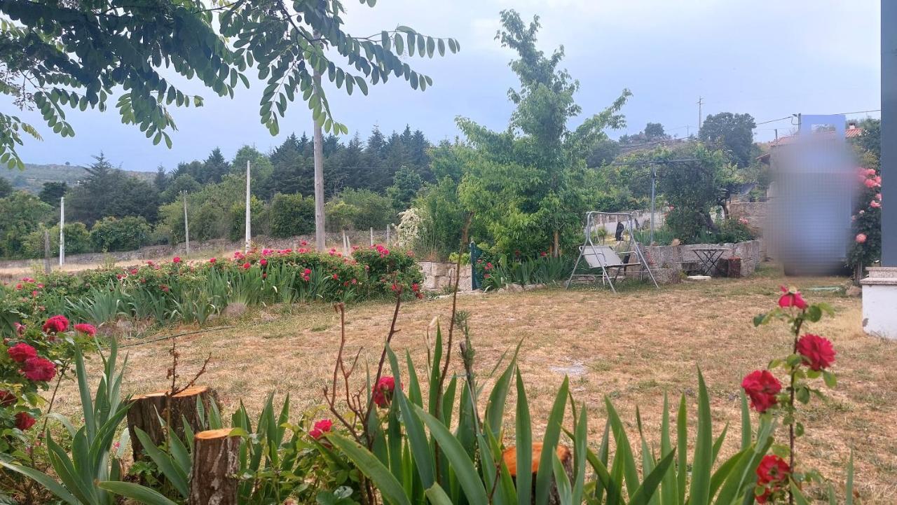 Turismo Rural Macieira Brava Γκουάρντα Εξωτερικό φωτογραφία