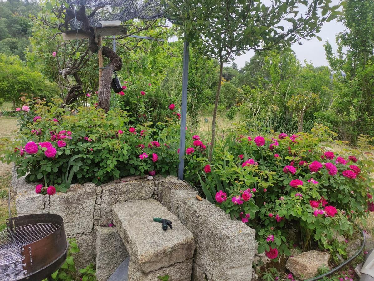 Turismo Rural Macieira Brava Γκουάρντα Εξωτερικό φωτογραφία