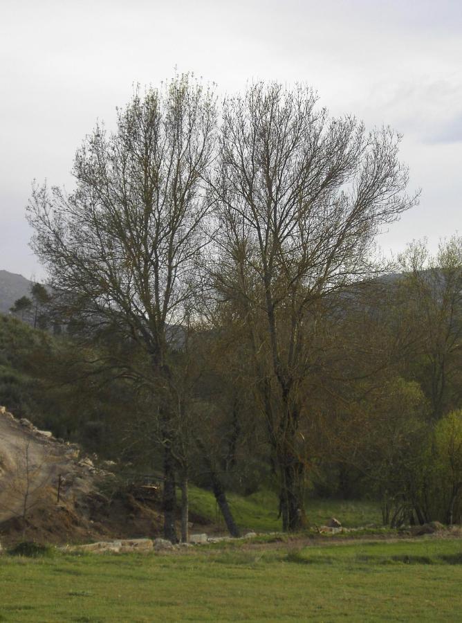 Turismo Rural Macieira Brava Γκουάρντα Εξωτερικό φωτογραφία