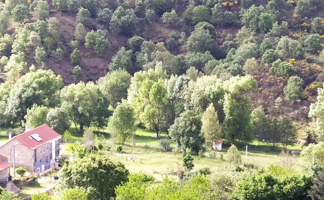 Turismo Rural Macieira Brava Γκουάρντα Εξωτερικό φωτογραφία